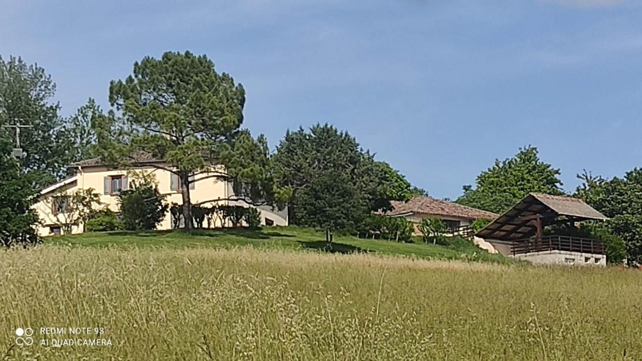 Ferme Du Bois Du Pouget Villa La Salvetat-Belmontet ภายนอก รูปภาพ